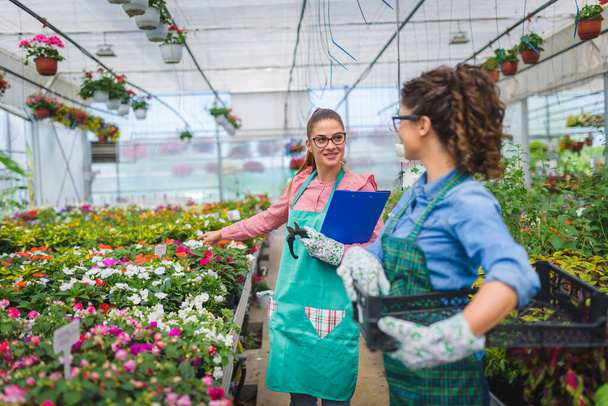 Schöne Floristinnen arbeiten im Gewächshaus - Foto, Bild