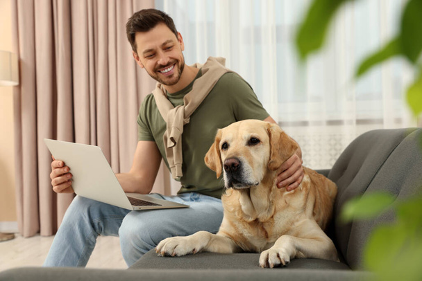 Homem usando laptop no sofá perto de seu bonito Labrador Retriever em casa - Foto, Imagem
