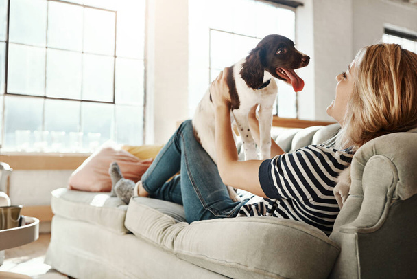 Övé a legjobb hely a házban. egy fiatal nő otthon pihen a kanapén a kutyájával. - Fotó, kép