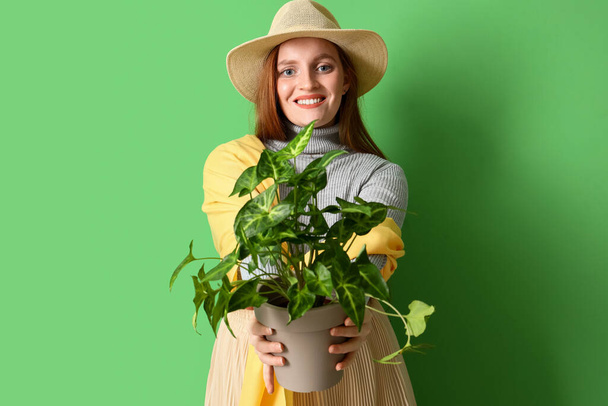 Mujer joven con planta de interior sobre fondo verde - Foto, Imagen