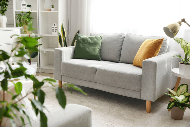 Εσωτερικό φωτεινό σαλόνι με καναπέ και πράσινο houseplants - Φωτογραφία, εικόνα
