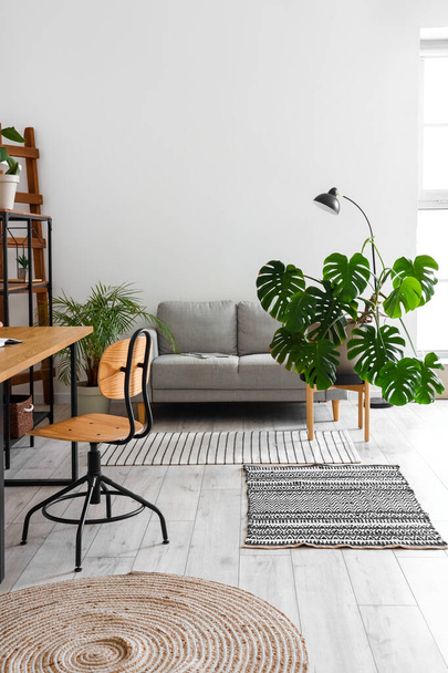 Interior of light office with sofa, workplace and Monstera houseplant - Zdjęcie, obraz
