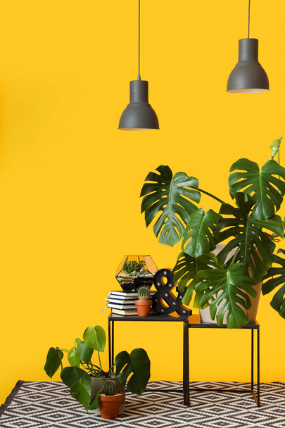 Tables with houseplants and books on yellow background - Fotografie, Obrázek