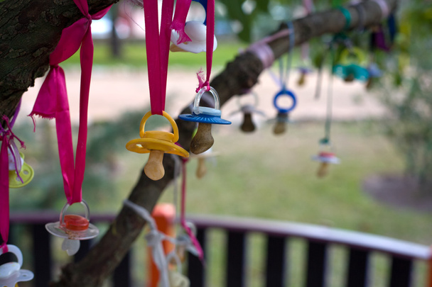 Pacifiers hanged in a tree - Photo, Image