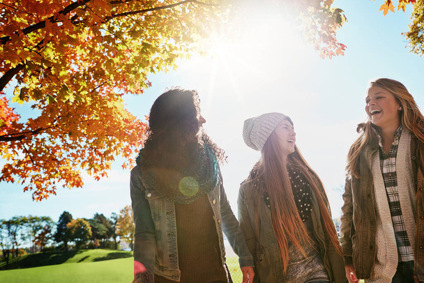 To przyjaciele cię uszczęśliwiają. grupa młodych przyjaciół cieszących się razem dniem spędzonym w parku - Zdjęcie, obraz