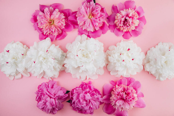 Composition of white and pink peonies, beautiful floral background, fashion, glamour, flat lay - Foto, immagini
