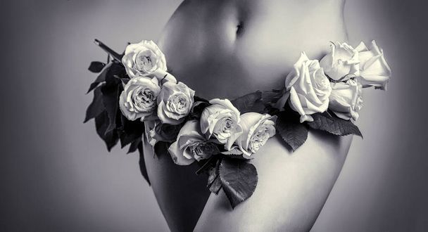 Жіночі хвороби, вагіна. Жінка одягнена в білі труси квітка, крупним планом. Чуттєва дівчина. Гінекологія та білизна, жіноче здоров'я. Чорно-білий
. - Фото, зображення