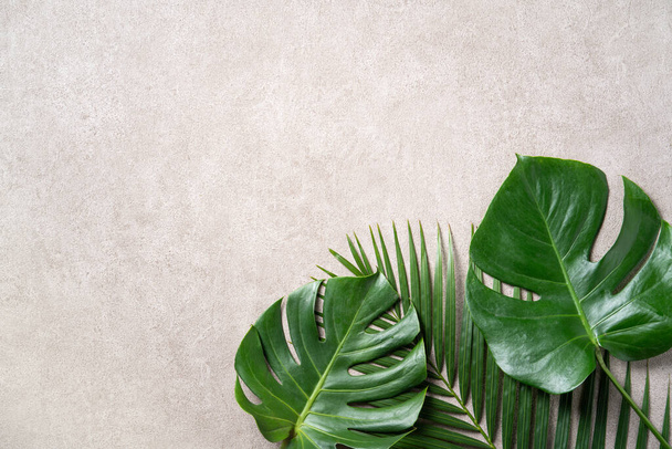 Vista superior de hojas tropicales de palmera monstera aisladas sobre fondo gris con espacio para copiar. - Foto, imagen