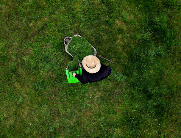 the gardener in the straw hat dumped the mower's basket into the wheelbarrow. nice green garden maintenance gardening. a man drives a cart looking straight down at the surface of the orchard - Photo, Image