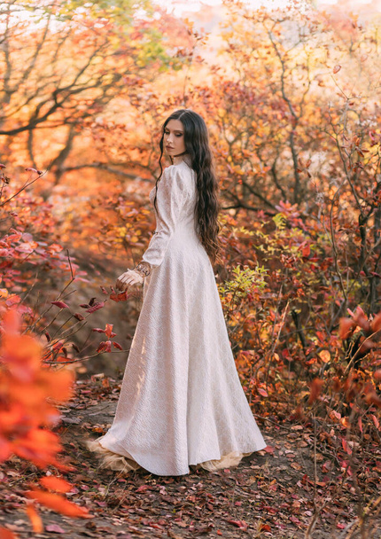 Mystery art portrait fantasy woman queen walking in gothic autumn forest. Girl princess long wavy hair sexy lady looks back, rear view white vintage style dress. Red orange yellow color dark tree park - Zdjęcie, obraz