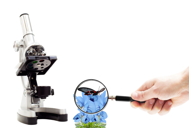 hand with magnifying glass, microscope and butterfly on flowers  - Foto, imagen