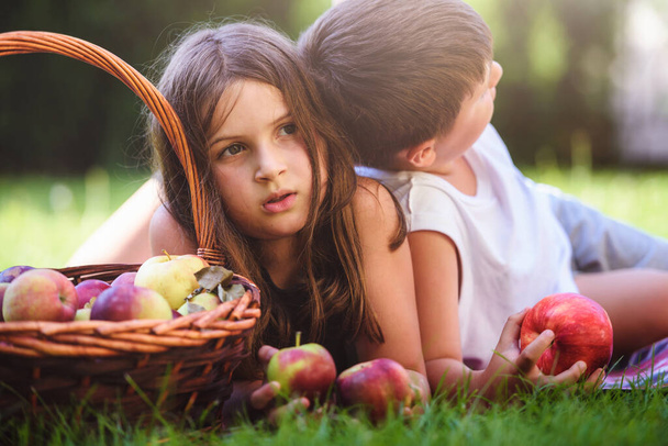 brother and sister posing with basket full of apples - Valokuva, kuva
