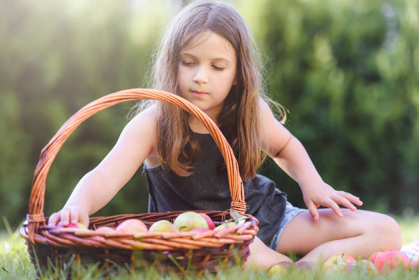 beautiful little girl with basket full of apples  - Foto, Imagem
