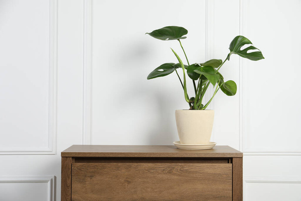 Potted monstera on wooden table near white wall, space for text. Beautiful houseplant - Фото, зображення