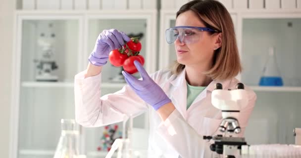 Vrouw onderzoekt rode tomaten op schadelijke stoffen in het laboratorium. Wetenschapper in glazen onderzoekt rijpe groenten op ongedierte slow motion - Video