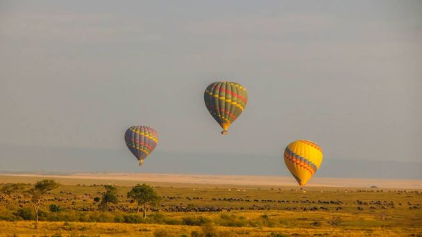Three colorful hot air balloons flying over the pasture - Fotoğraf, Görsel