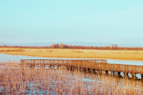 A Serene Autumn Scene. Um lago com uma doca de madeira e árvores no fundo. Para copiar áreas de texto. Foto de alta qualidade - Foto, Imagem