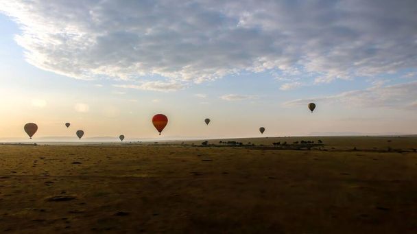 Group of hot air balloons flying over the desert  on a sunny day - 写真・画像