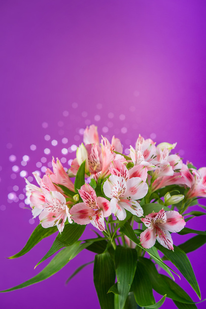 Ramo de flores alstroemeria
 - Foto, Imagen