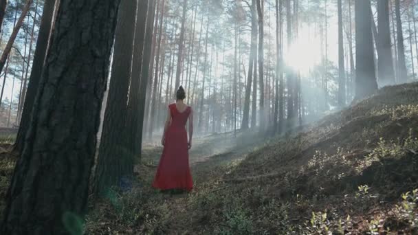 hand gehouden breed schot van een vrouw in een rode jurk verlaten, in een verbrand dennenbos, in de waas - Video