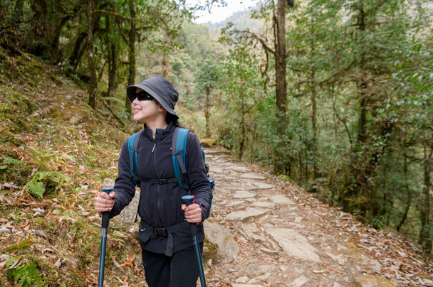 A young traveller trekking on forest trail , Nepal - Photo, image