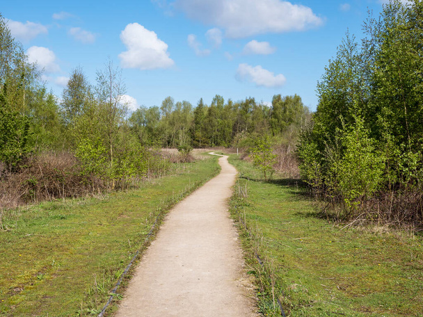 Beau sentier à travers la réserve naturelle commune de Barlow dans le Yorkshire du Nord, Royaume-Uni, avec herbe, arbres et un ciel nuageux bleu - Photo, image