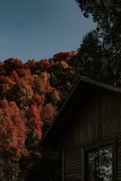 A vertical shot of a wooden rural hous in an autumn forest - Foto, Imagem