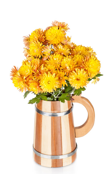 Chrysanthemum květiny - Fotografie, Obrázek