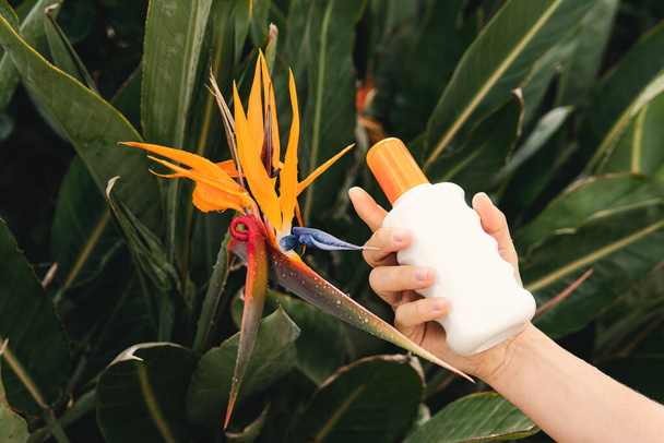Closeup shot of a woman holding a bottle of skin care product neat the bird of paradise tropical flower. - Photo, Image