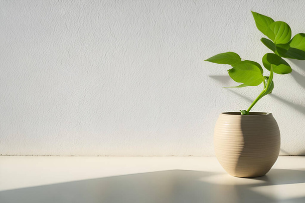 Nowoczesny biały wazon z zieloną rośliną na kamiennym stole z wolną i pustą przestrzenią do wyświetlania produktów - Zdjęcie, obraz