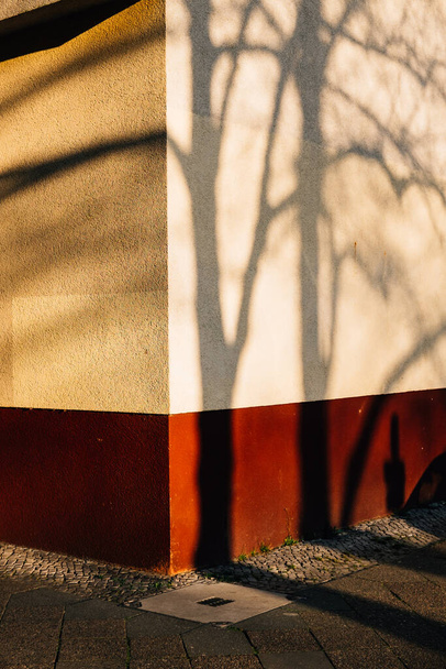 A vertical shot of the angular part of a wall reflecting the shadows of trees on a sunny day - Фото, зображення