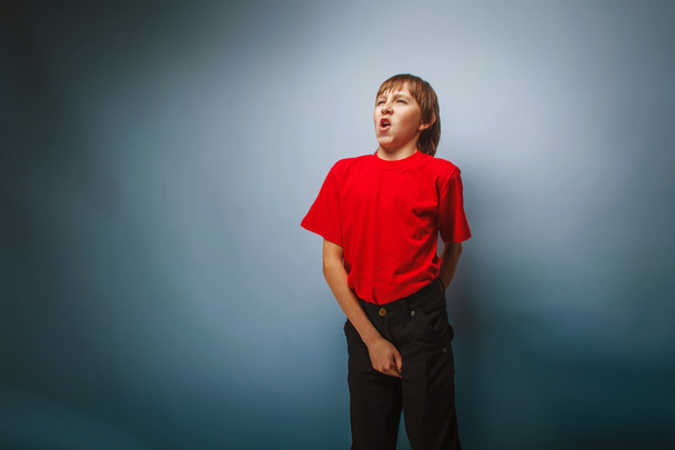 jongen tiener Europese verschijning in een rood shirt bezit is van zijn hand - Foto, afbeelding