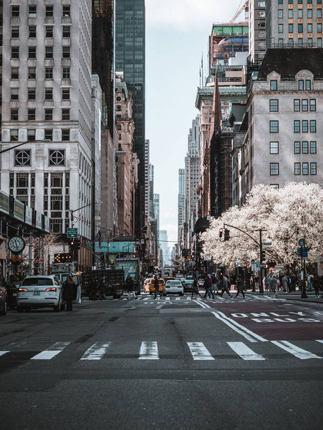 A vertical shot of a street between buildings in New York - Fotoğraf, Görsel