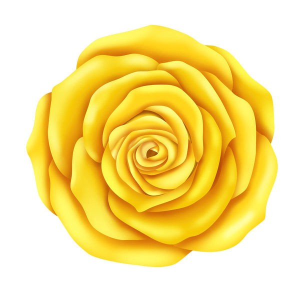rose flower watercolor style - Foto, immagini