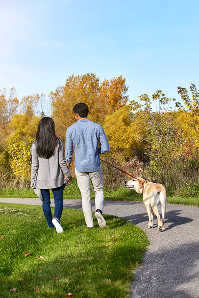 Raising a pet together took our relationship to the next level. a loving young couple taking their dog for a walk through the park - Foto, Imagen