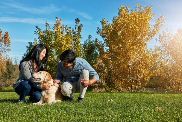 Зв'язування під час вправ. любляча молода пара бере свого собаку на прогулянку парком
 - Фото, зображення