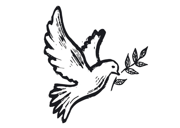 Paloma de la paz ilustración dibujada a mano. - Vector, Imagen
