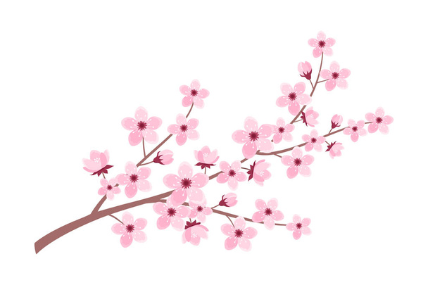 Pink cherry blossom branch isolated on white background. Vector illustration of sakura branch in flat style - Вектор, зображення