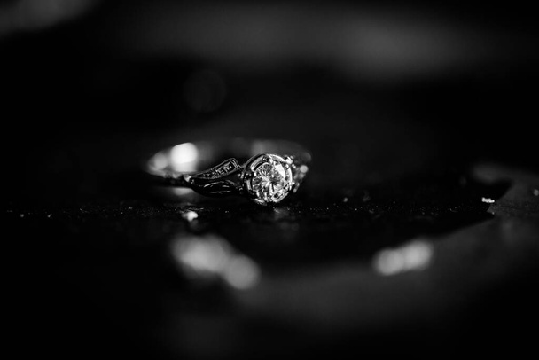 This stunning close-up image of wedding rings captures the beauty and symbolism of the cherished wedding tradition. The photograph features the bride and groom's wedding rings delicately placed on a neutral surface, highlighting the intricate details - Valokuva, kuva