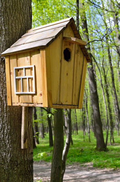 Birdhouse on a high tree in the forest - Fotoğraf, Görsel