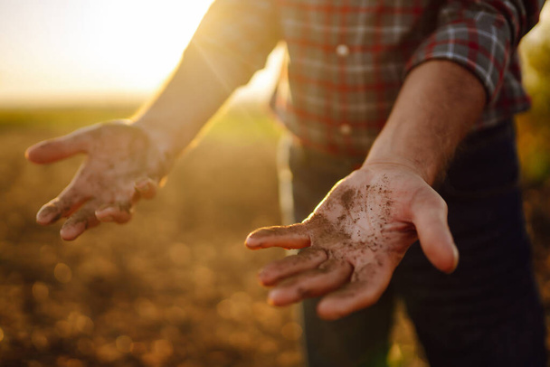 farmer's hand checks soil before growing vegetable seeds or plant seedlings. Concepts of ecology and gardening. - Foto, Imagem