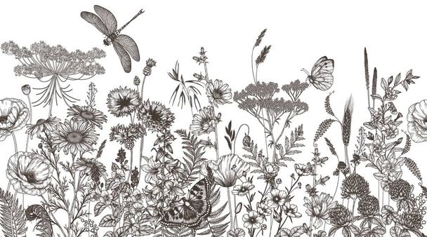  Seamless horizontal pattern of wildflowers and plants. Chamomile, clover, chicory, poppy, cornflower, bells, periwinkle, buttercup, veronica, butterfly, dragonfly in engraving style - Vektor, Bild