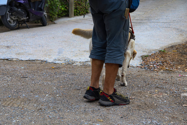 Ein Blindenhund hilft einem Mann, der seine Hilfe beim Gassi gehen und sich bewegen braucht - Foto, Bild