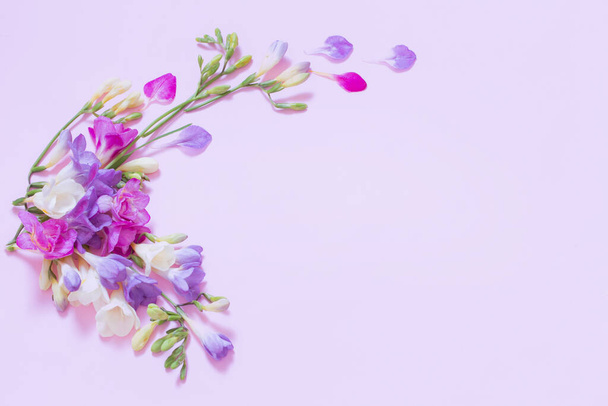 beautiful freesia flowers on pink background - Photo, image