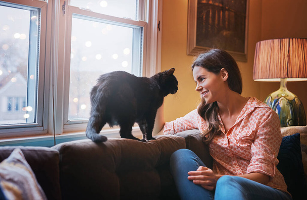 Os gatos transformam uma casa numa casa. uma jovem mulher atraente relaxando no sofá em casa e se unindo com seu gato - Foto, Imagem