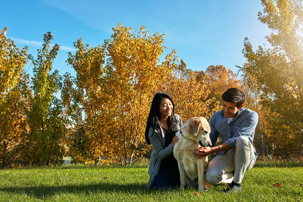 Giving him all the love he deserves. a loving young couple taking their dog for a walk through the park - Foto, Imagen