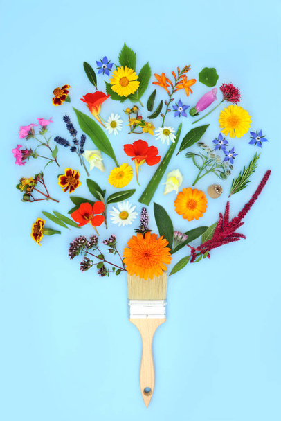 Σουρεαλιστικό paintbrush με καλοκαιρινά λουλούδια, αγριολούλουδα και βότανα. Φαρμακευτική φυτική ιατρική, αφηρημένη επούλωση floral φύση έννοια σε παστέλ μπλε φόντο. - Φωτογραφία, εικόνα