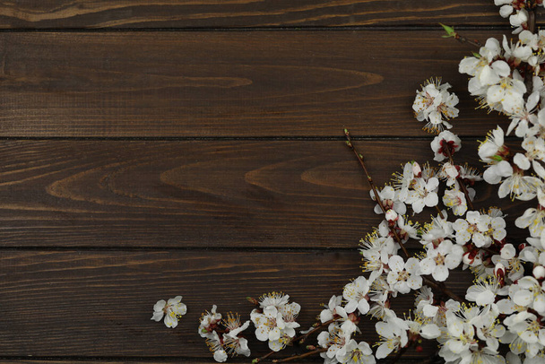 A dark wooden brown background with spring white apricot blossom on it and copy space - Photo, Image