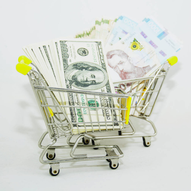 shopping cart with money and dollar bills - Fotoğraf, Görsel