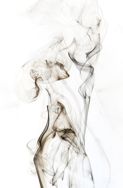 abstract smoke on white backgroud - 写真・画像